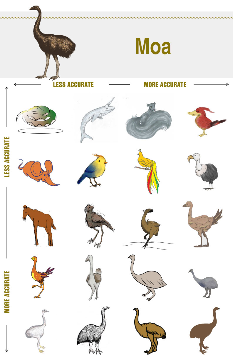 Extinct Animals 2023 List With Pictures And Name Extinct Animals With Names And Pictures