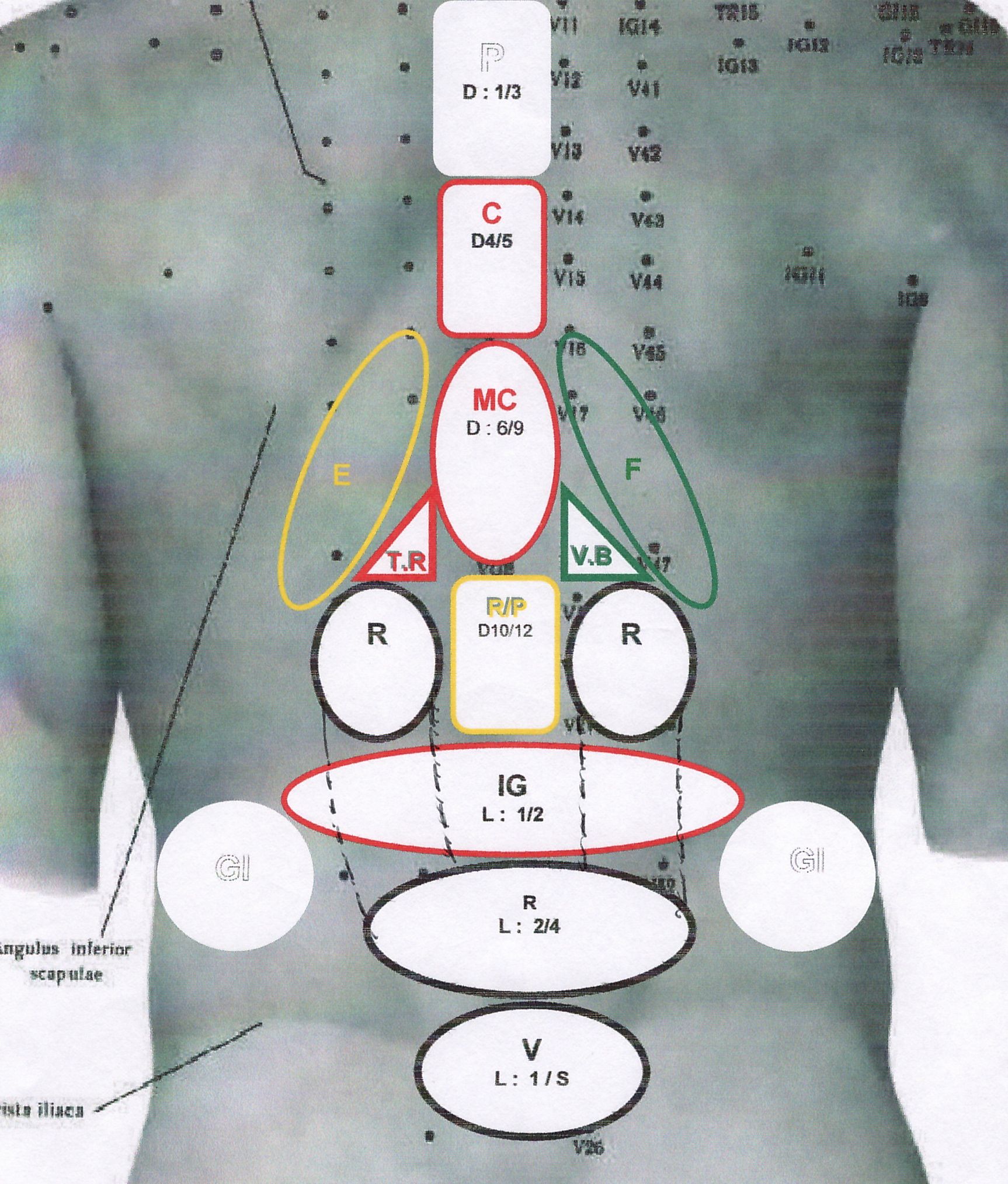 ZONES REFLEXES SELON MASUNAGA Tao et Spiritualité