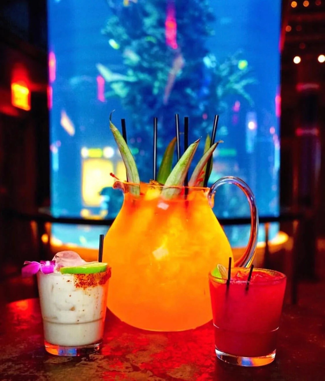 View Gallery FISHBOWL at Dream Midtown in NYC