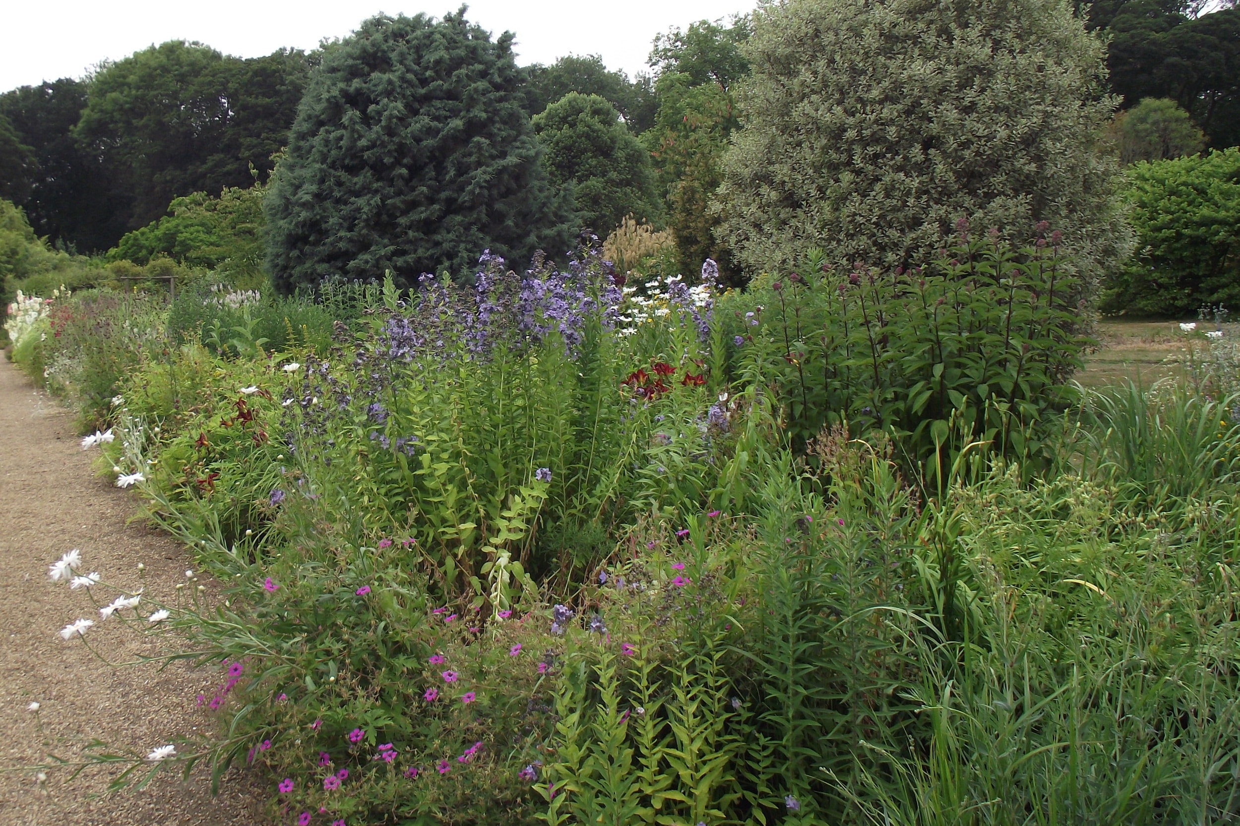 Norfolk Gardens And Designed Landscapes Fasci Garden