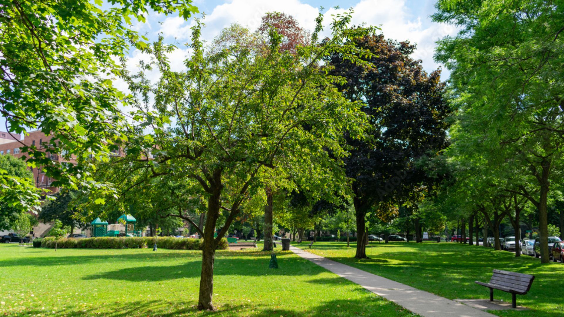 The Ultimate Evanston Relocation Guide Tapestry Station