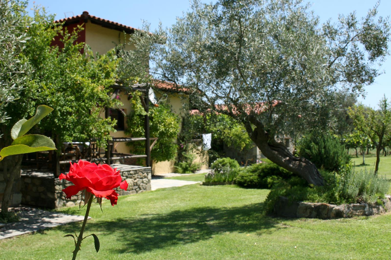 Polymnia Ta Petrina Vourvourou, Sithonia Chalkidiki Property