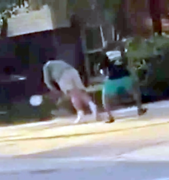 VIDEO Man Bashed In Head With Bricks, Falls FaceFirst To Sidewalk