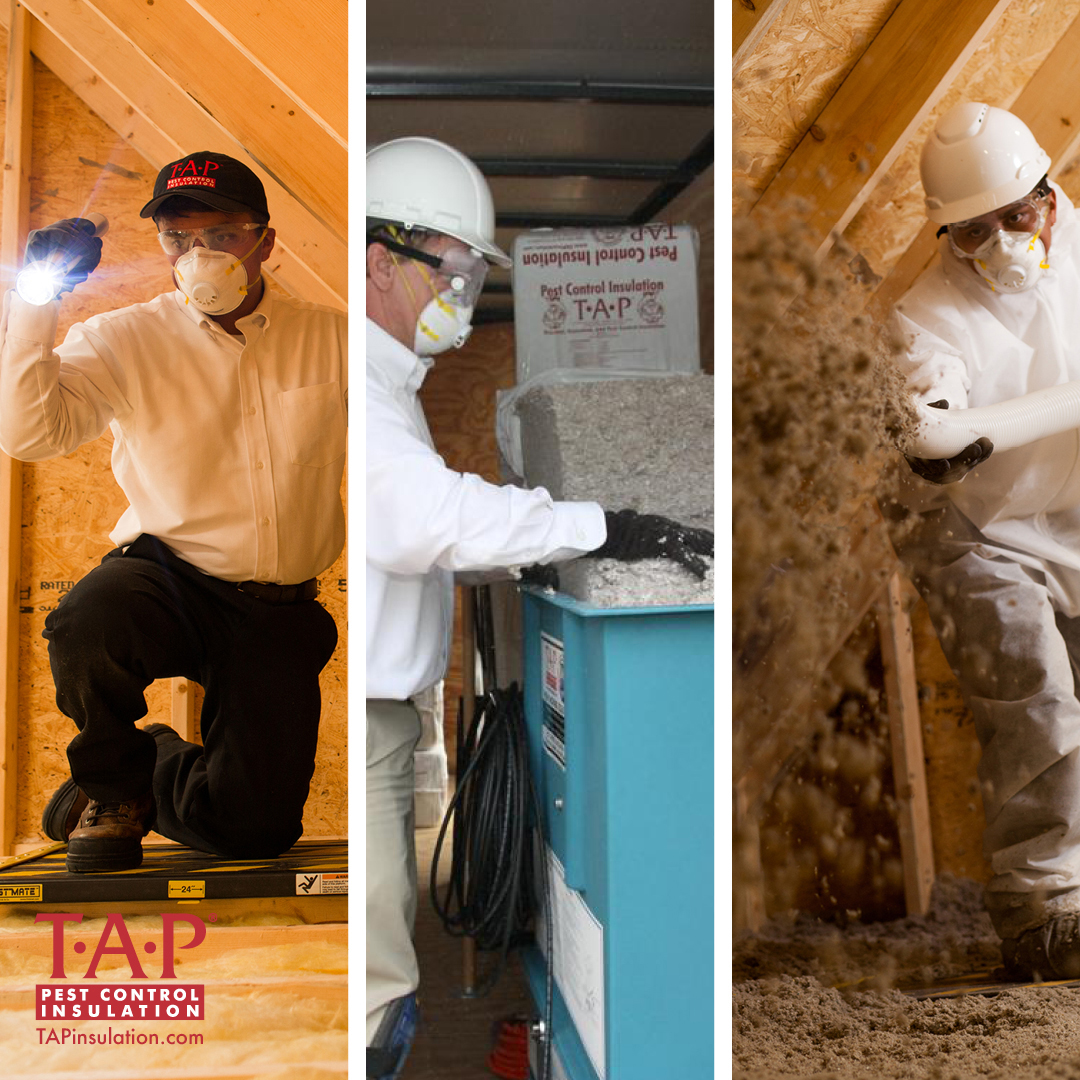 Attic Capping Insight for Providers of TAP® Pest Control Insulation