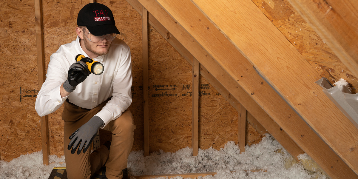 The TAP® Installation Process TAP® Pest Control Insulation TAP