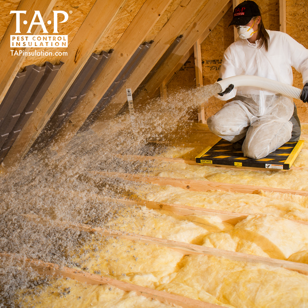 8 Basic Installation Tips TAP® Pest Control Insulation TAP® Pest