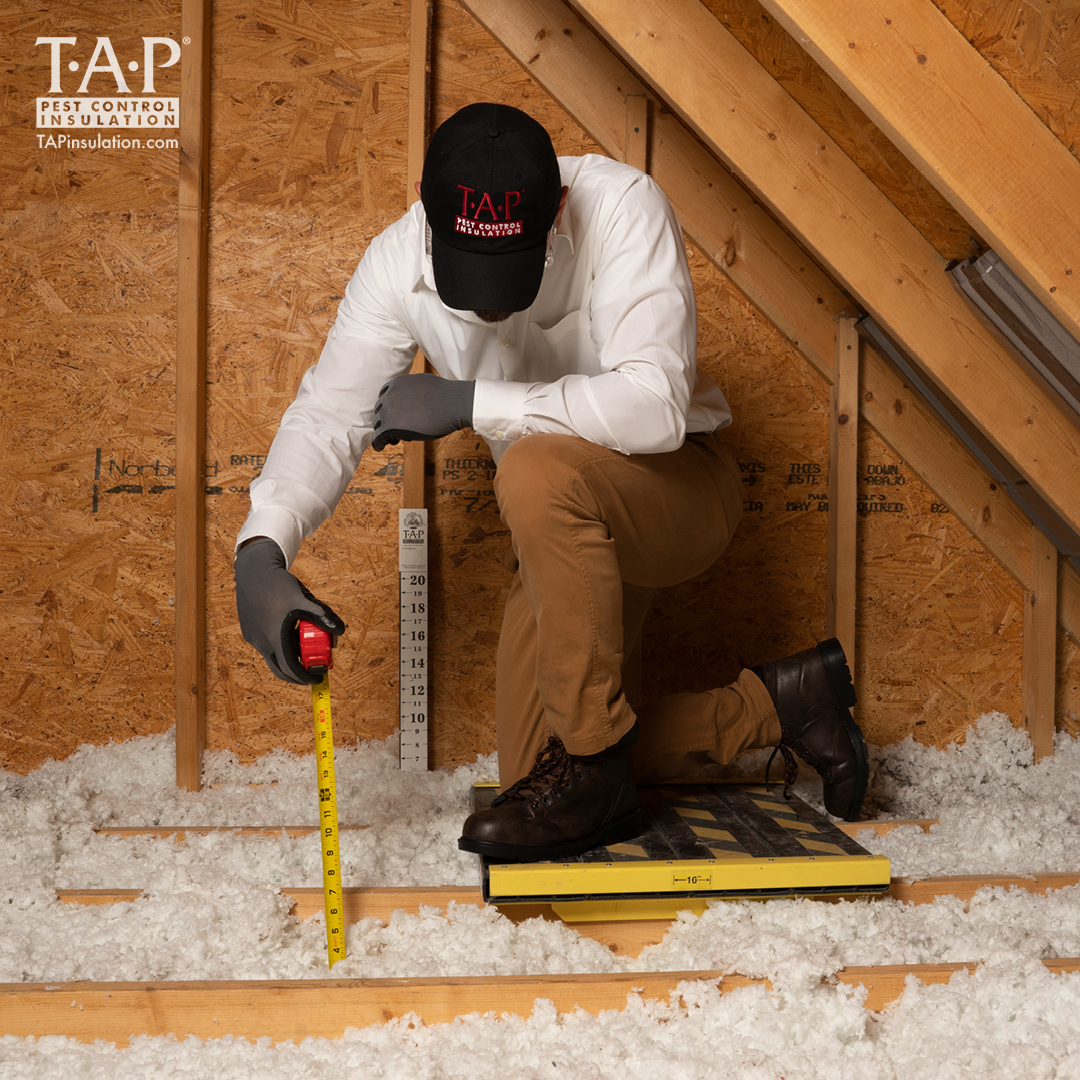 Quoting a TAP® Job TAP® Pest Control Insulation TAP® Pest Control