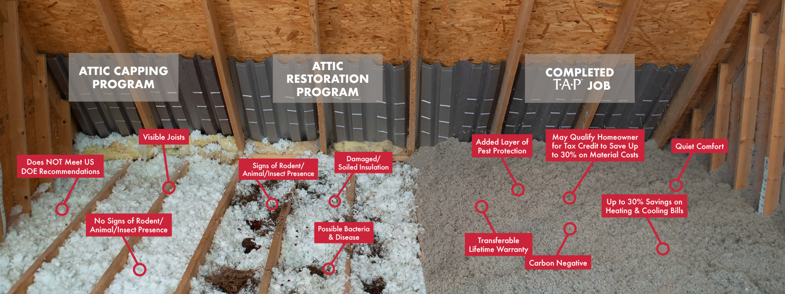 PestWorld 2023 TAP® Pest Control Insulation TAP® Pest Control