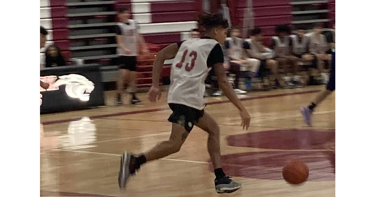 Roselle Park Boys Basketball Panthers Come Up Short Against Undefeated