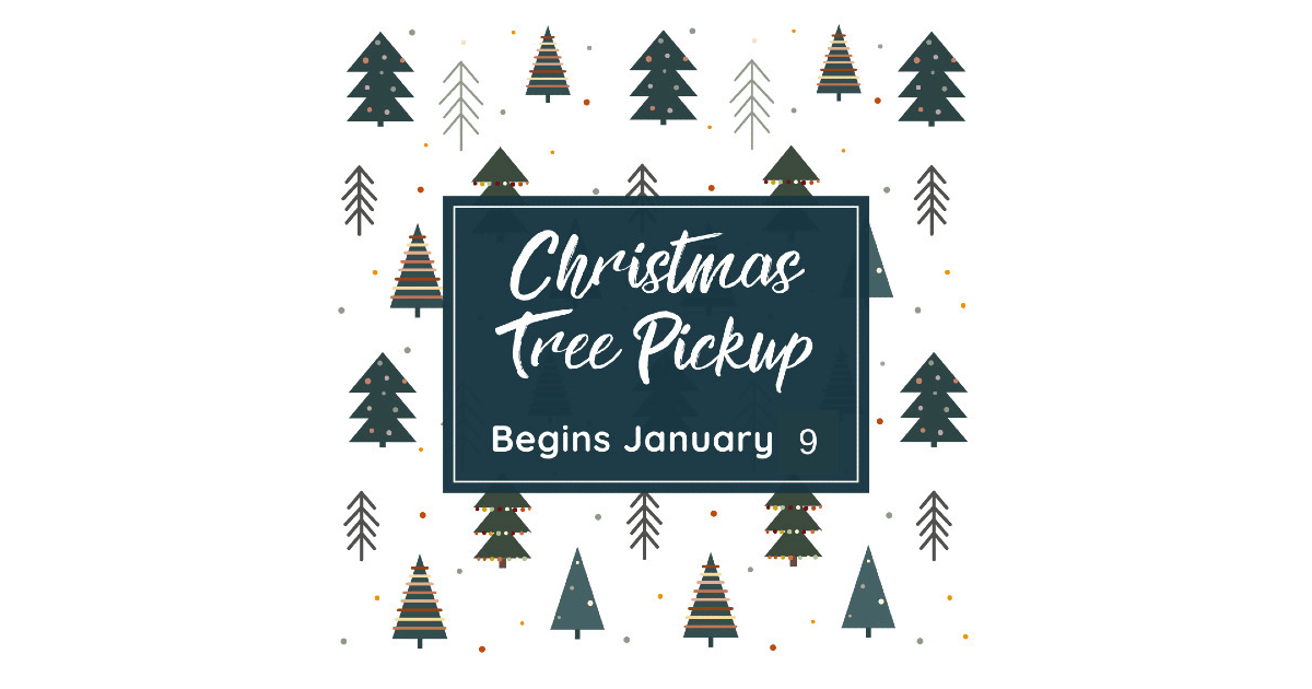 Scotch Plains Christmas Tree Pickup to Begin on Monday, Jan. 9 Scotch