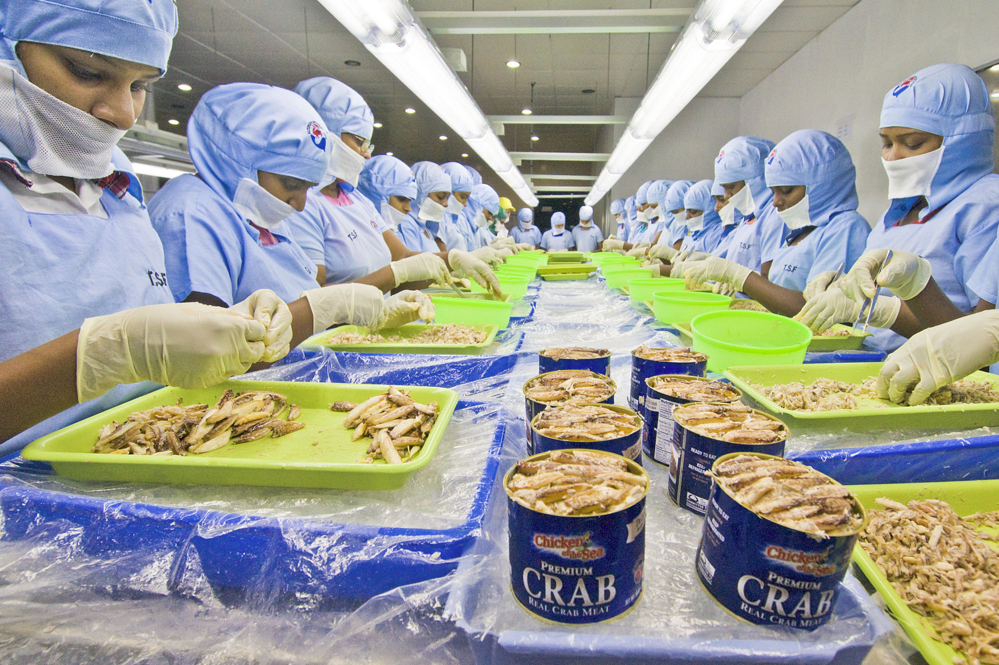 Taprobane Seafood Group