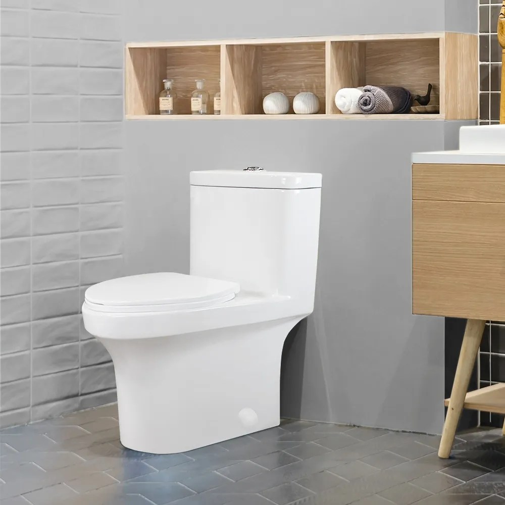 RUBY One Piece DualFlush Toilet Elongated