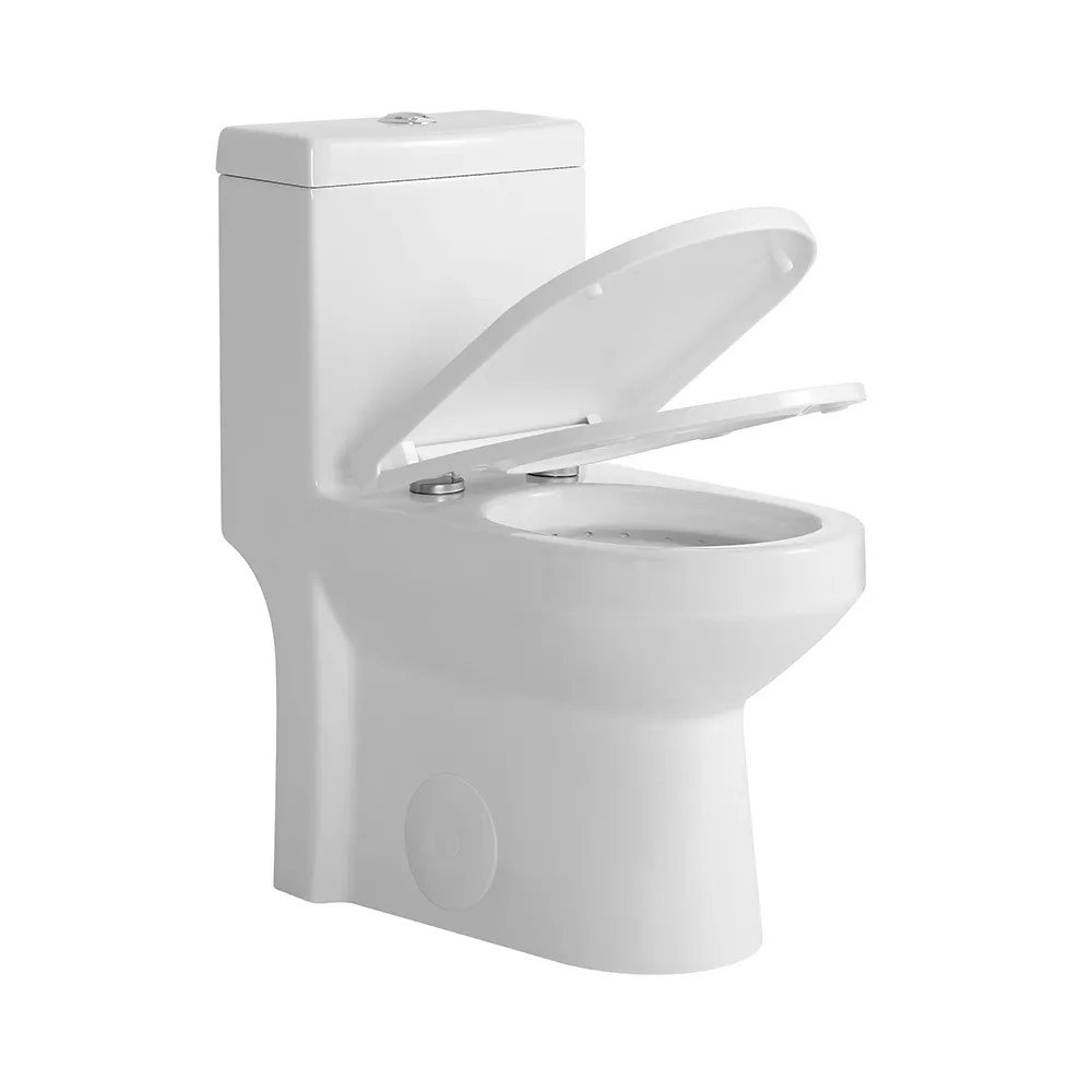 RUBY CANADA Niloo 1.28 GPF Onepiece Elongated dualflush 24" depth toilet