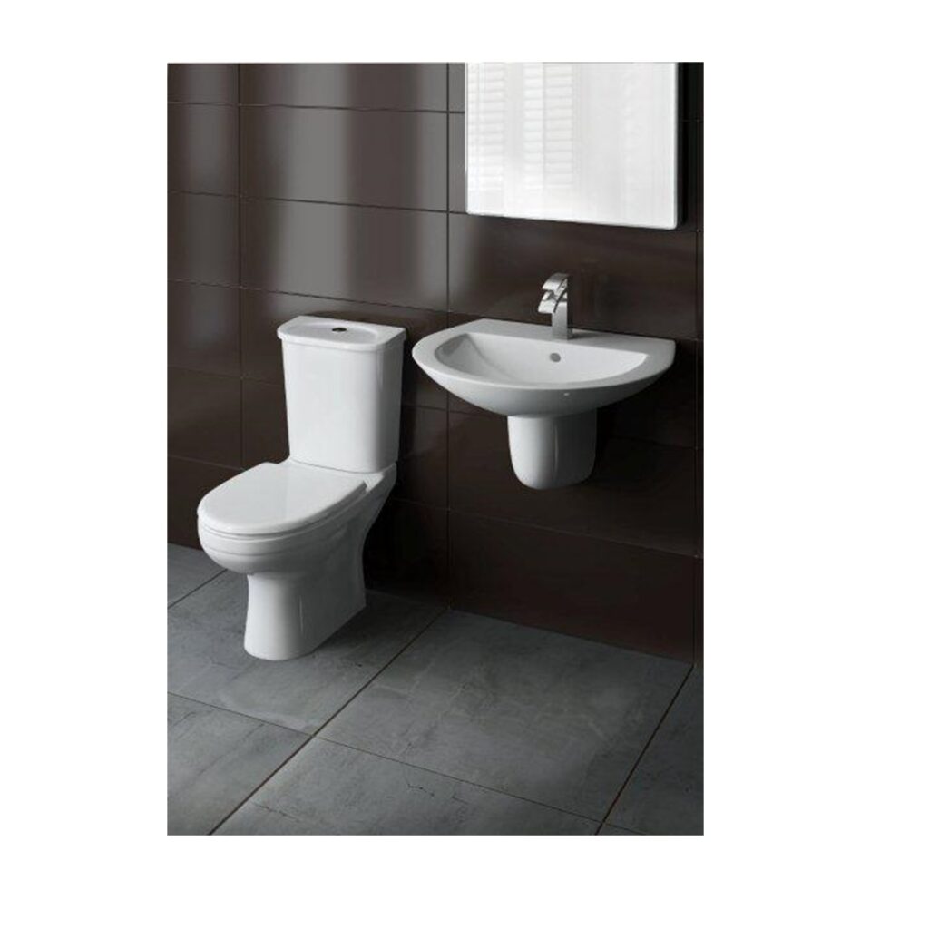 Washdown WC, floor standing + Ceramic cistern, bottom water supply