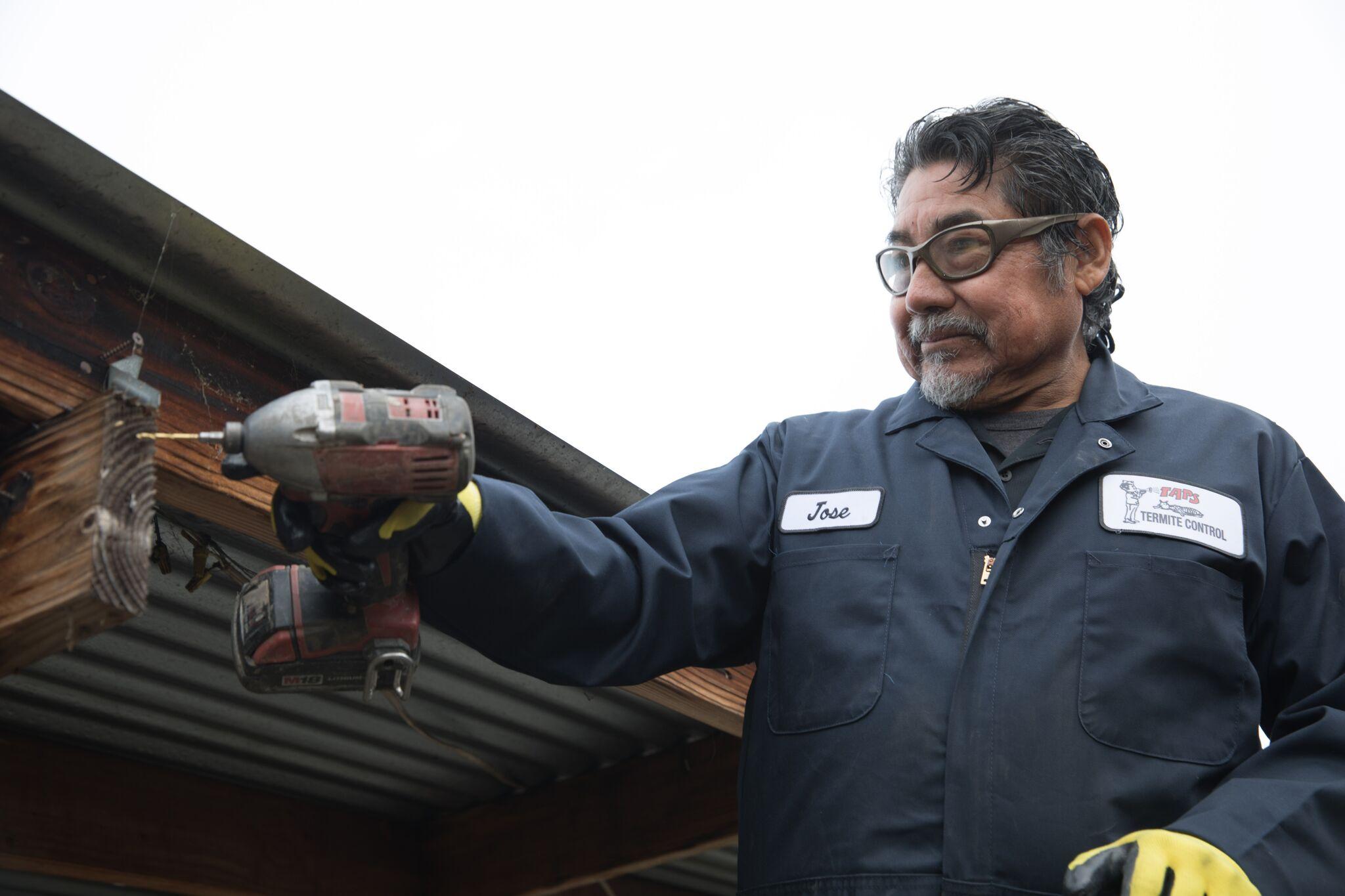 Termites Ultimate Guide for Real Estate Agents TAPS Termite Servicing