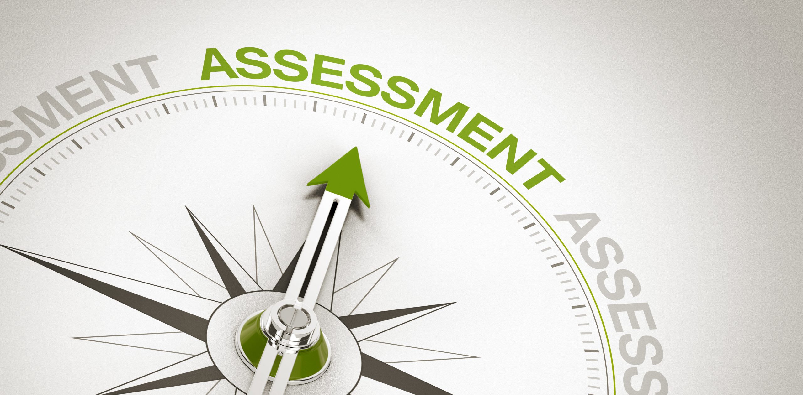 The Tap the Potential Business Assessment