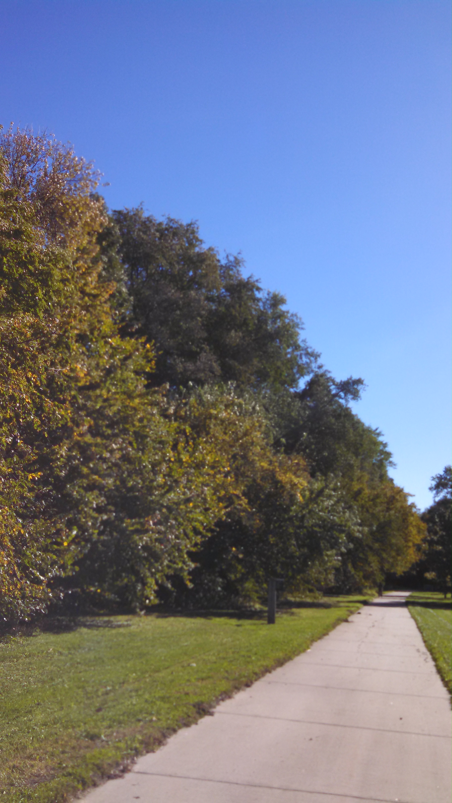 Slow Down and Enjoy Walking for a Change Tapping the Wellspring