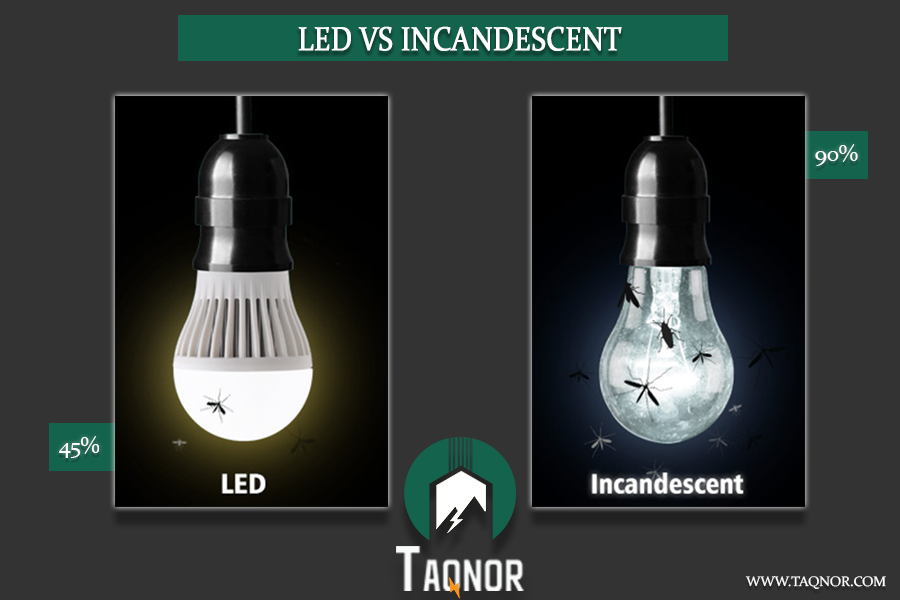 Do LED Lights Attract Bugs? TAQNOR