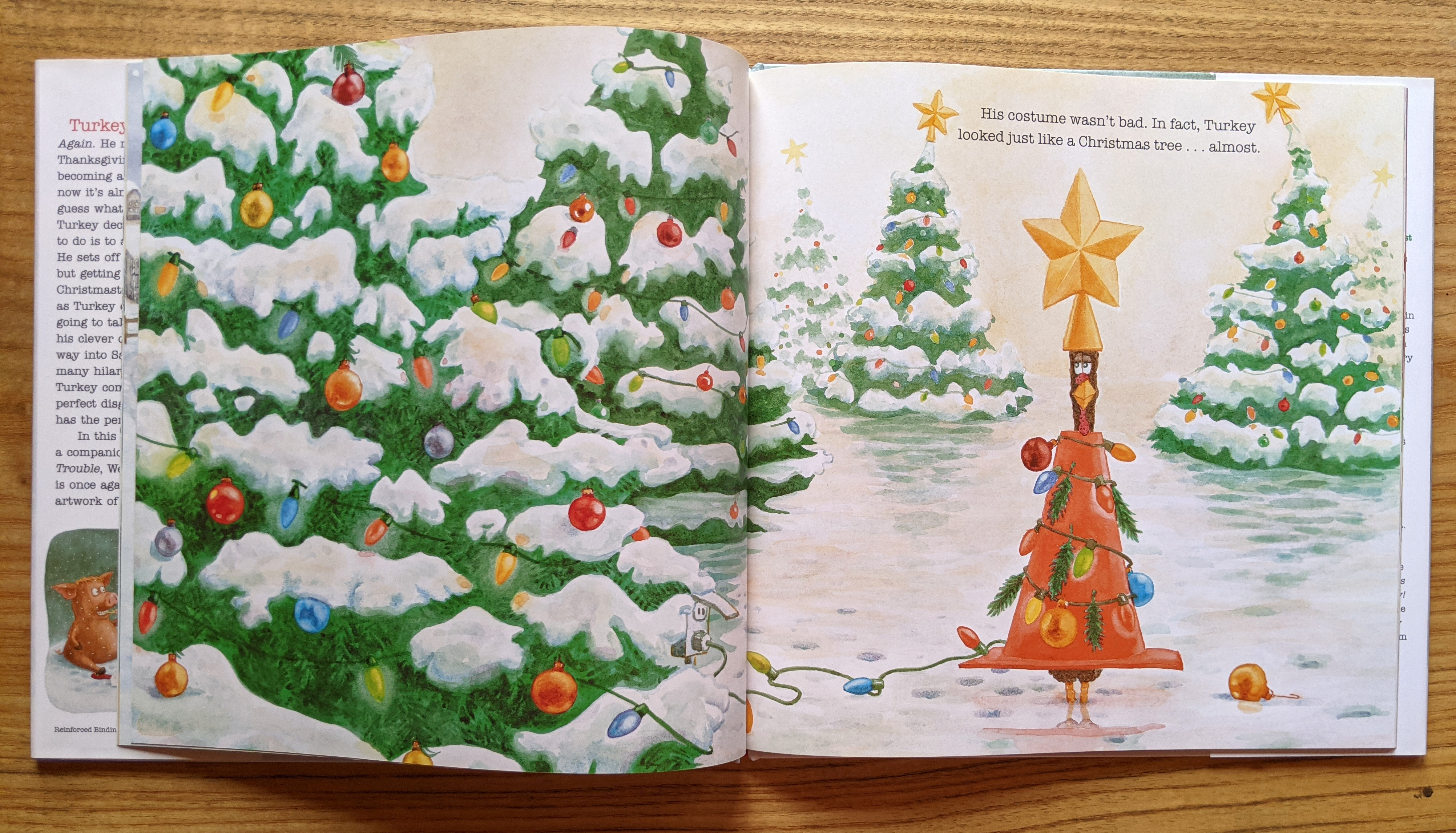 Calendrier De L Avent 2023 M Et Ms Picture Books | Writing For Kids (While Raising Them) | Page 5