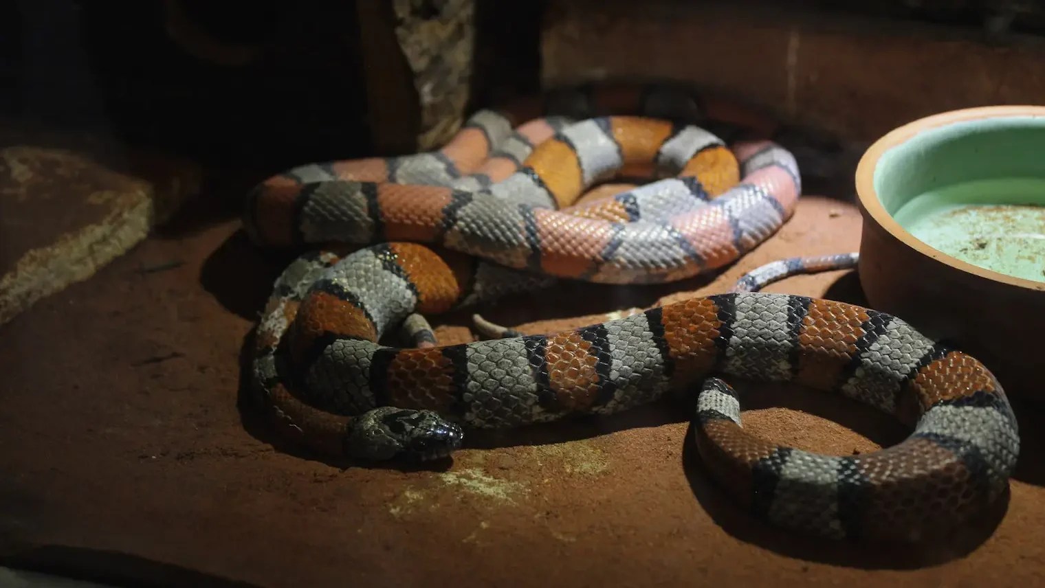 19 Incredible Things To Do In Riva del Garda Tara Oh Reilly