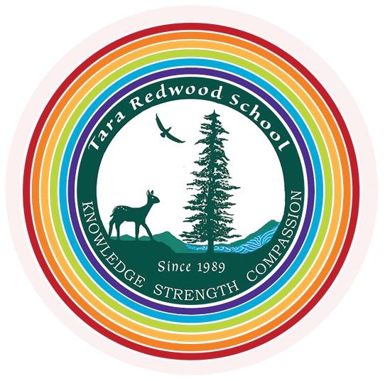 About Us Tara Redwood School