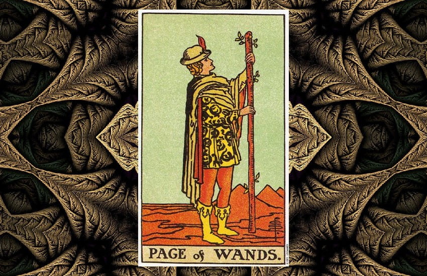 La Sota de Bastos en el tarot Tarcano