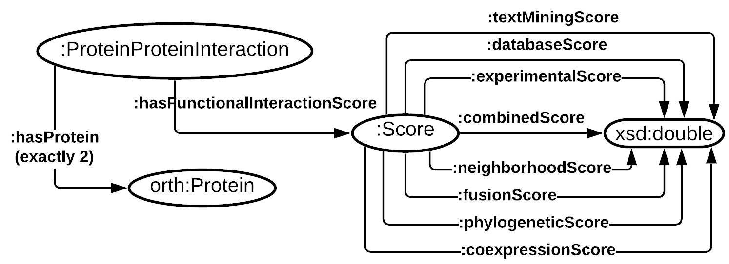 STRING database WEB API Ontology Documentation
