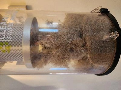 Bissell Cleanview Swivel Rewind Pet Reach - 3197 : Target