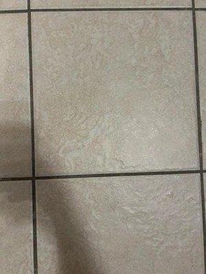 Wagner 905e Auto Steam Cleaner With 12 Accessories: Electric