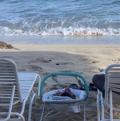 Bright Starts Jungle Vines Comfy Baby Bouncer With Vibrating Infant