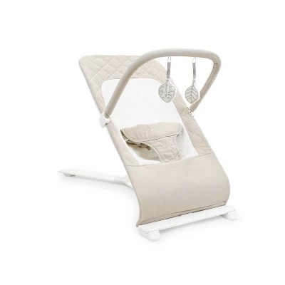 Baby Delight Alpine Deluxe Portable Bouncer : Target