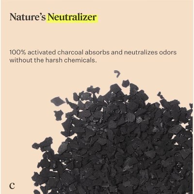 Coop Home Goods Natural Charcoal Deodorizer 550g Target
