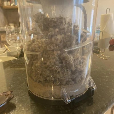 Bissell Cleanview Upright Vacuum- 3533 : Target