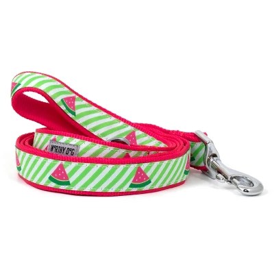 The Worthy Dog Green Stripe Watermelon Dog Leash Target