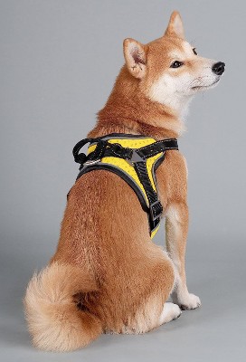Dog Helios 'scorpion' Sporty Highperformance Freerange Dog Harness