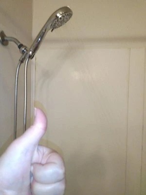 Shower Clean Pro Shower Head - Waterpik : Target