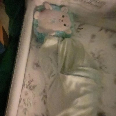 Fisher-price Calming Vibes Hedgehog Soother : Target