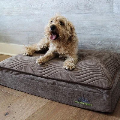 Buddyrest Affinity Pillow Top Hybrid Orthopedic Dog Bed Target