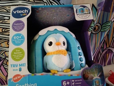 Vtech Baby Soothing Starlight Igloo : Target