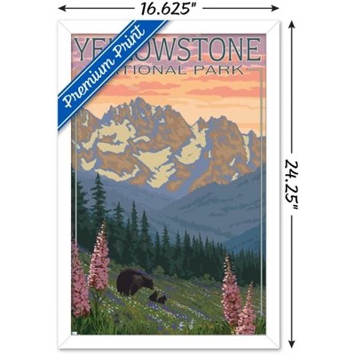 Trends International Lantern Press Yellowstone Spring Flowers Framed