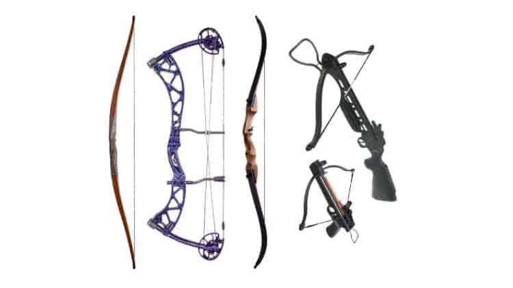 What Bow Types Are Available To The Archer And Hunter Targetcrazy Com