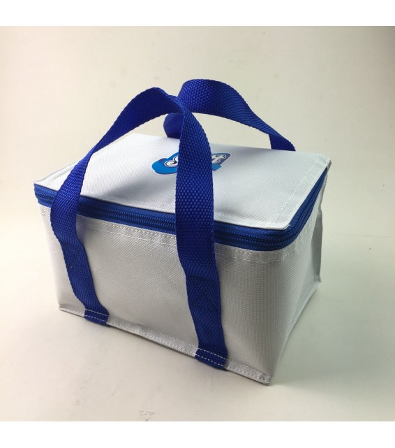 Mini Cooler Bags