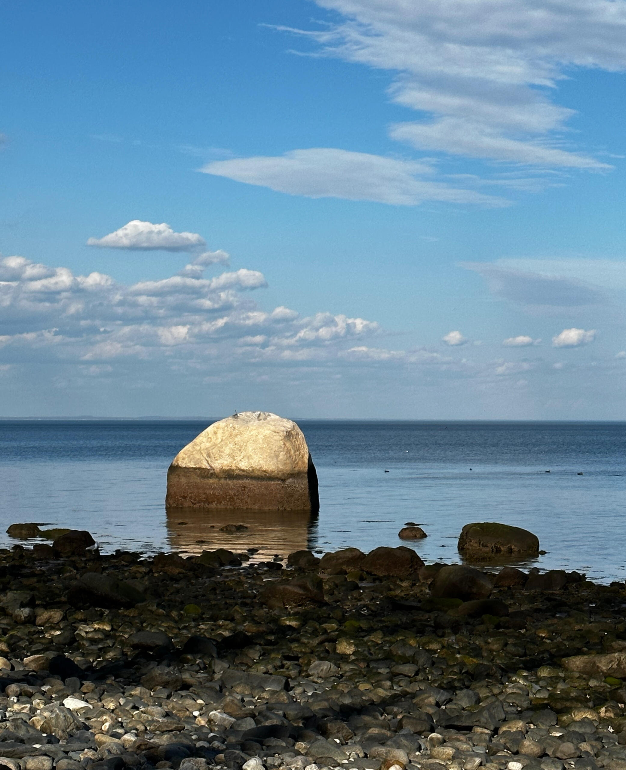 Target Rock Charters