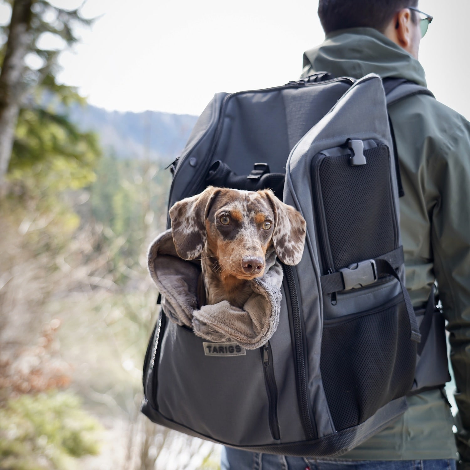 Dachshund Backpack Die Lösung für Abenteuer mit Dackel