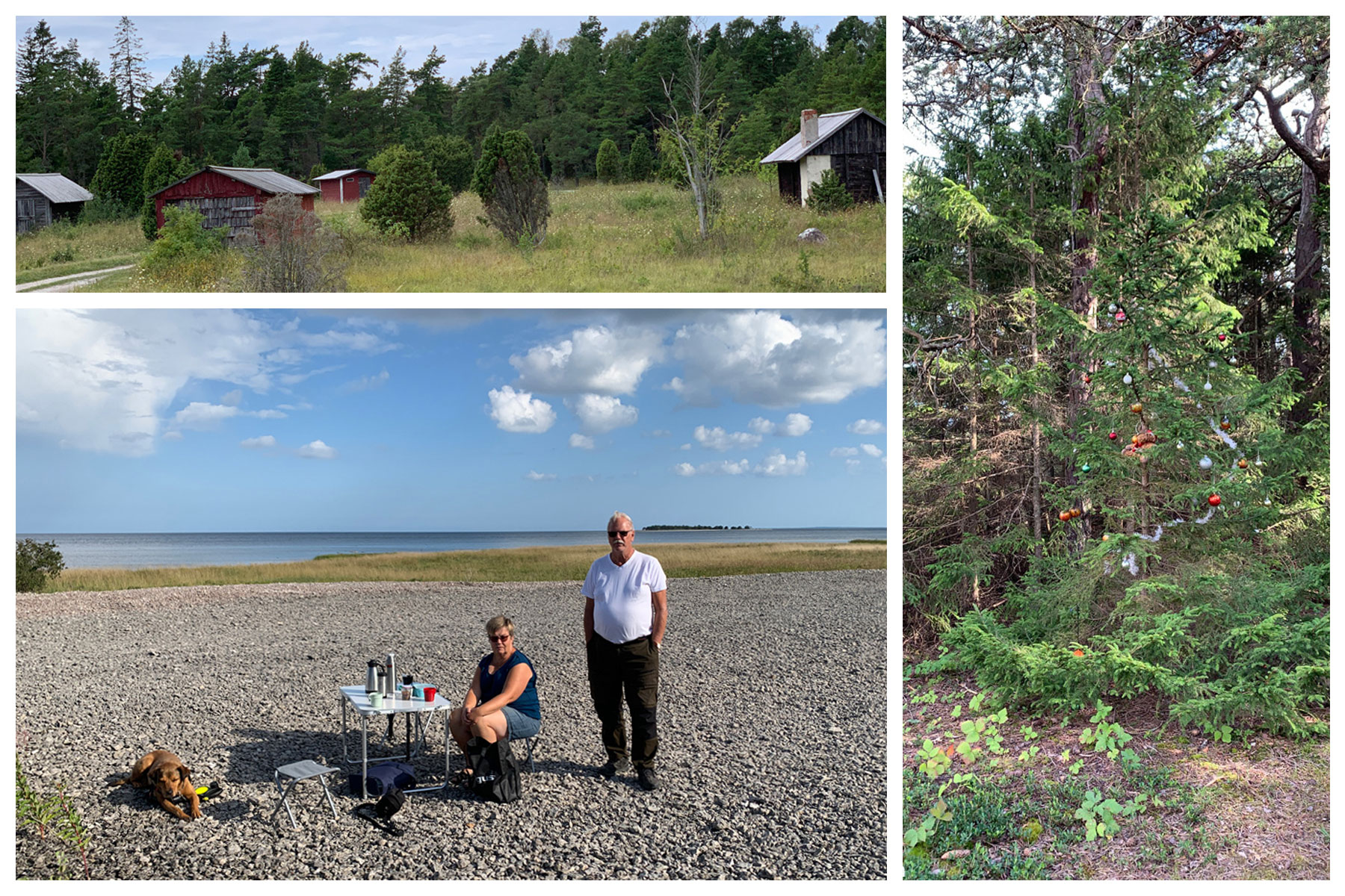 Plump! Poängräknare by Viktor Nilsson canasta hur många kort