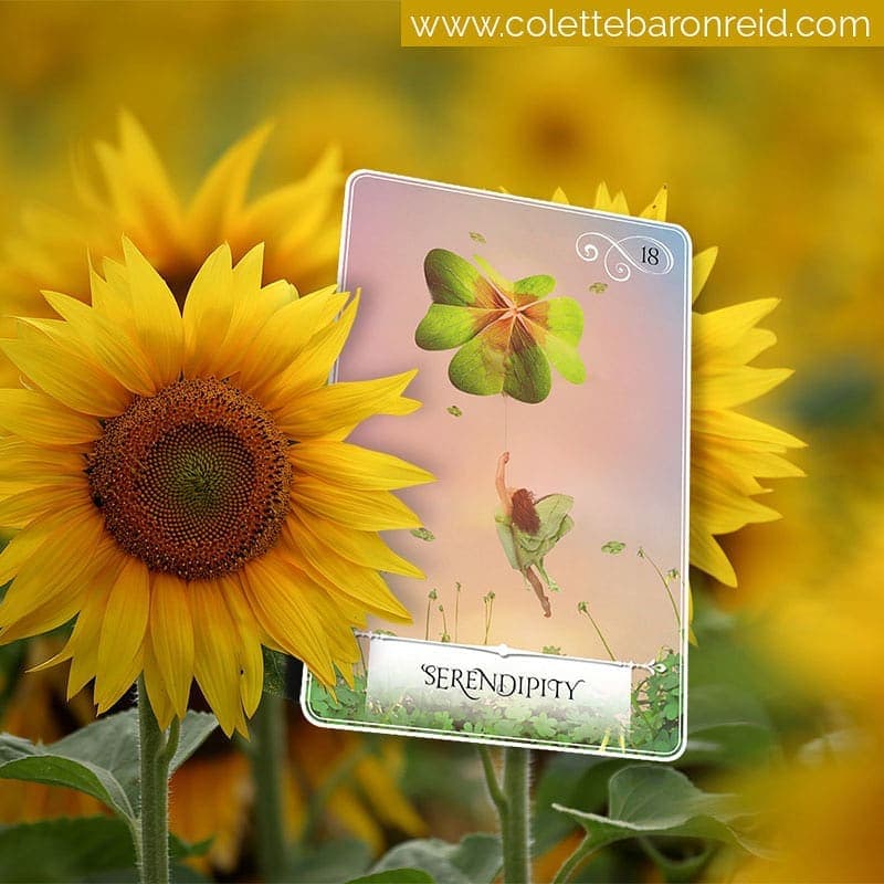 Wisdom Of The Oracle Divination Cards Lá Số 18 Serendipity 2024