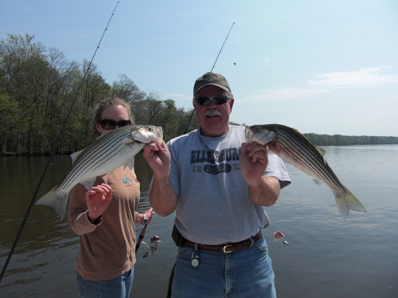 TarPam Guide Service Roanoke River Striper Fishing