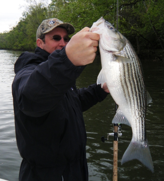 TarPam Guide Service Roanoke River Striper Fishing Charters