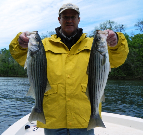 TarPam Guide Service Roanoke River Striper Fishing Charters