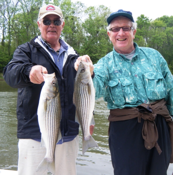 TarPam Guide Service Roanoke River Striper Fishing Charters